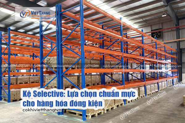 Kệ-Selective-Lựa-chọn-chuẩn-mực-cho-hàng-hóa-đóng-kiện